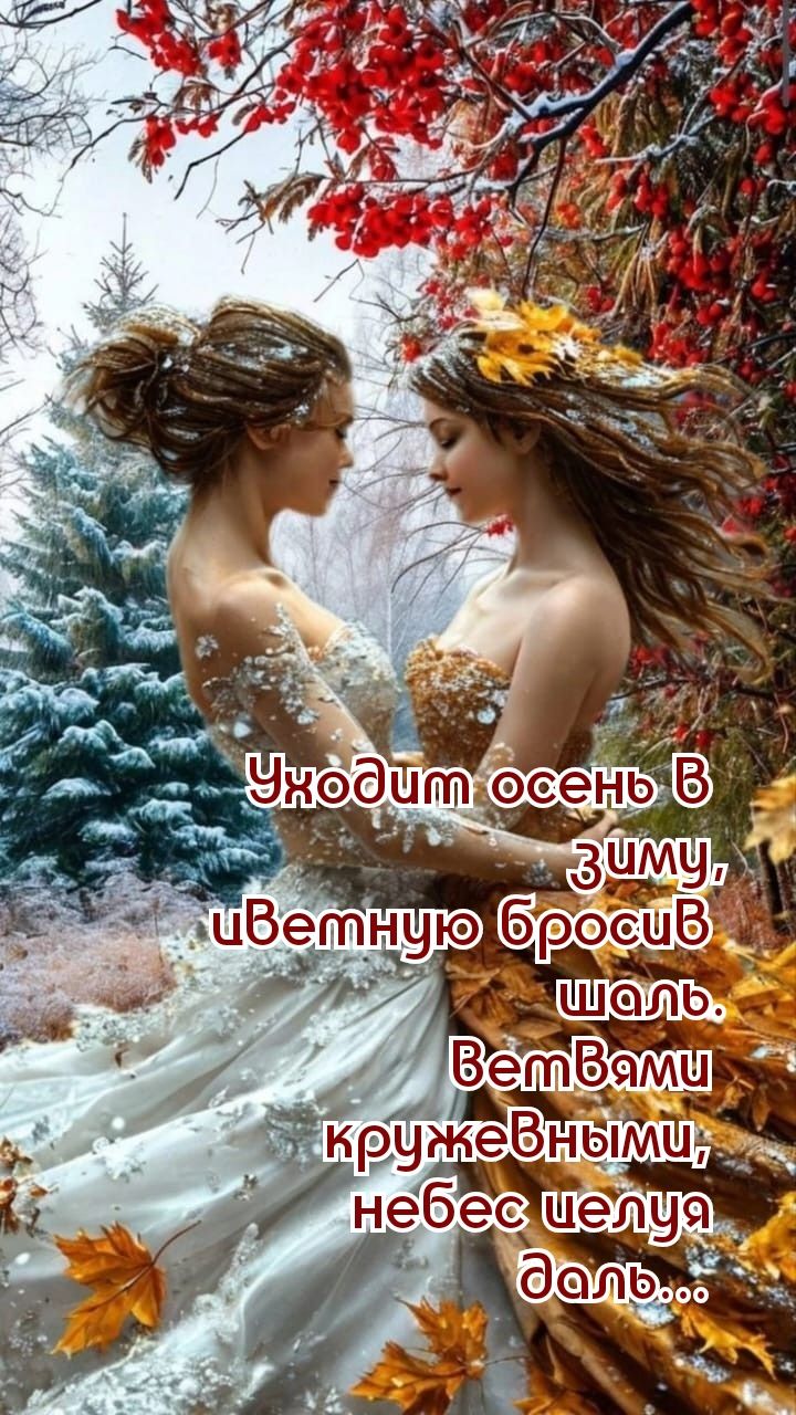 Уходит осень в зиму, цветную бросив шаль. Ветвями кружевными, небес целуя даль...