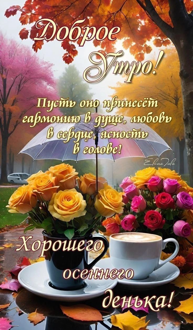 Доброе утро! Пусть оно принесёт гармонию в душу, любовь в сердце, ясность в голове! Хорошего осеннего денёчка!