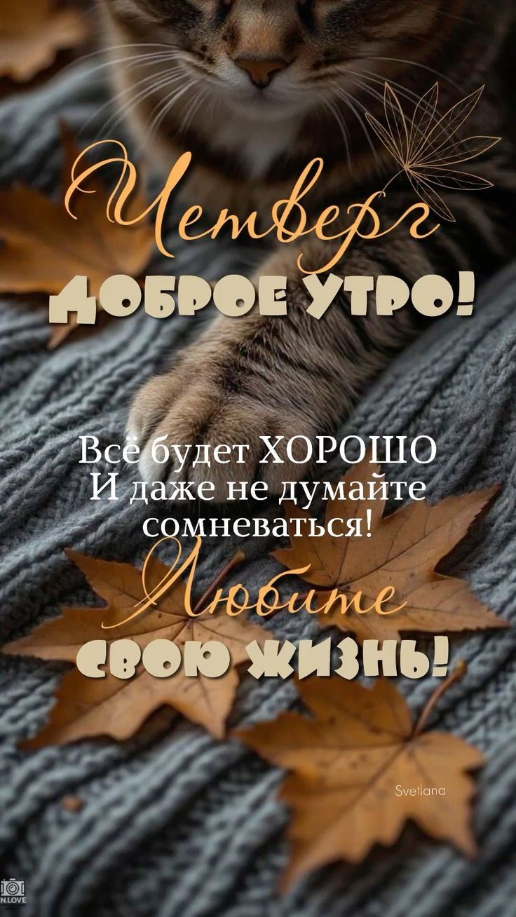 Четверг ДОБРОЕ УТРО! Все будет ХОРОШО И даже не думайте сомневаться! Любите свою жизнь!
