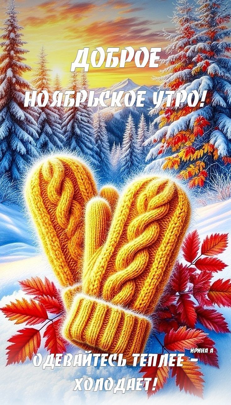 Доброе ноябрьское утро! Оденьтесь теплее — холоднеет!