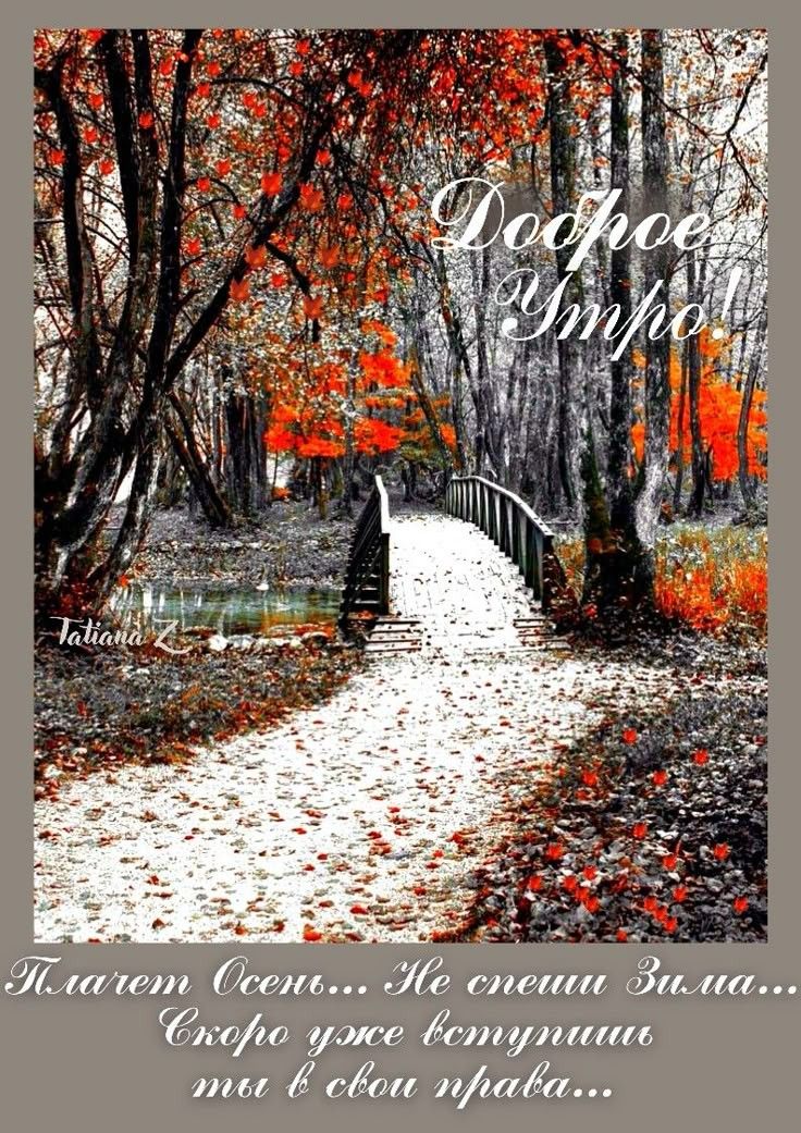 Доброе Утро
Падает Осень... Не спеши Зима... Скоро уже вступишь ты в свои права...
Tatiana Z.