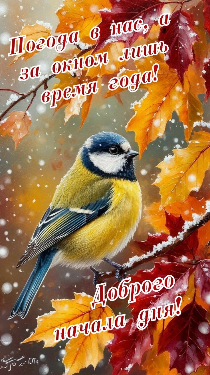 Погода в нас, а за окном лишь время года! Доброго начала дня!