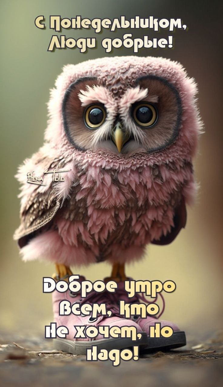 С поледельником, людям добрые! Доброе утро всем, кто не хочет, но идет!