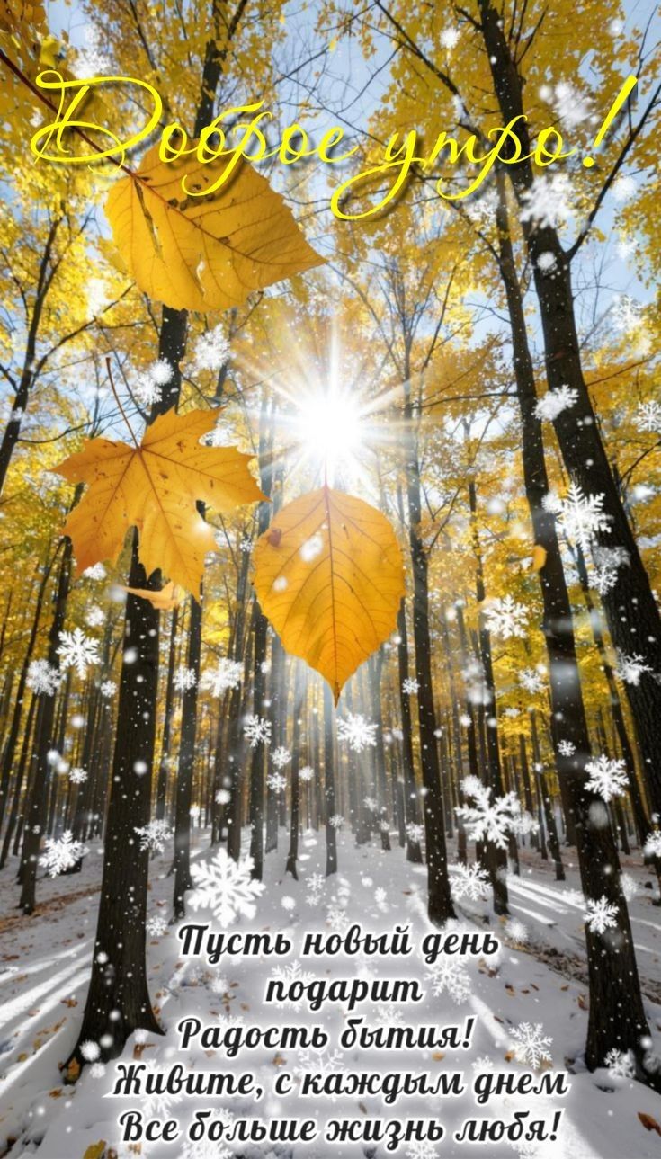 Доброе утро! Пусть новый день подарит Радость бытия! Живите, с каждым днем Все больше жизнь любовь!