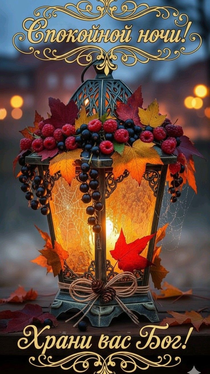 Спокойной ночи! Храни вас Бог!
