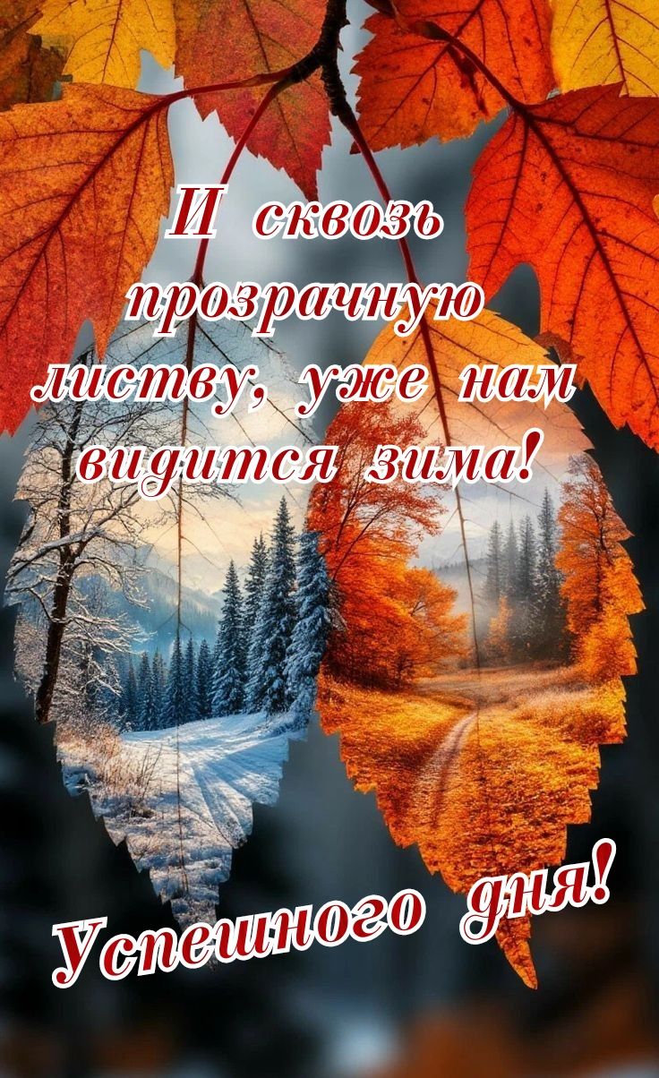 И сквозь прозрачную листву, уже нам видится зима! Успешного дня!