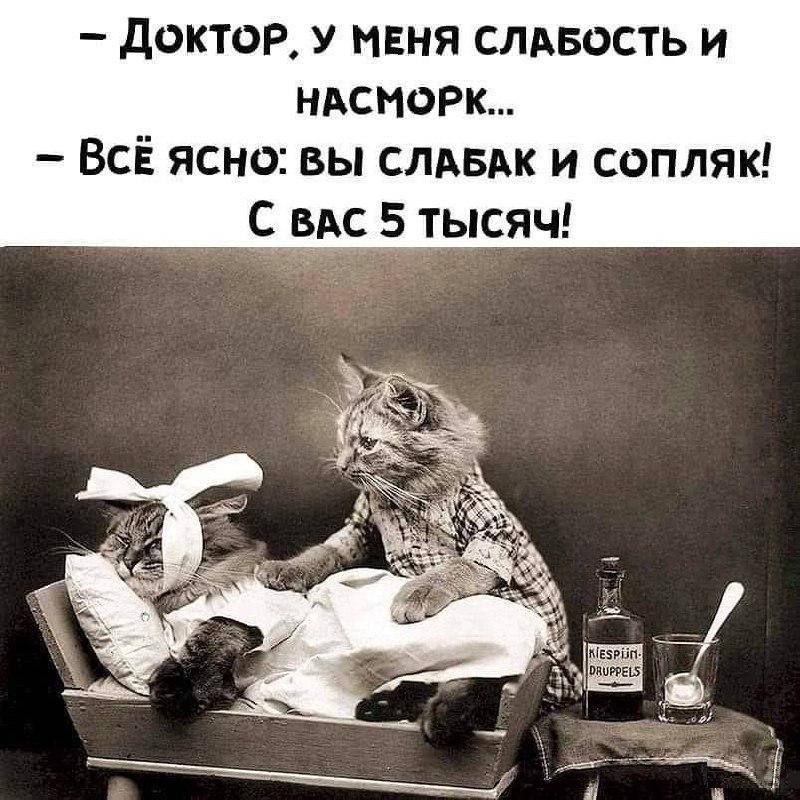 - Доктор, у меня слабость и насморк...\n- Всё ясно! вы слабак и сопляк!\nС вас 5 тысяч!