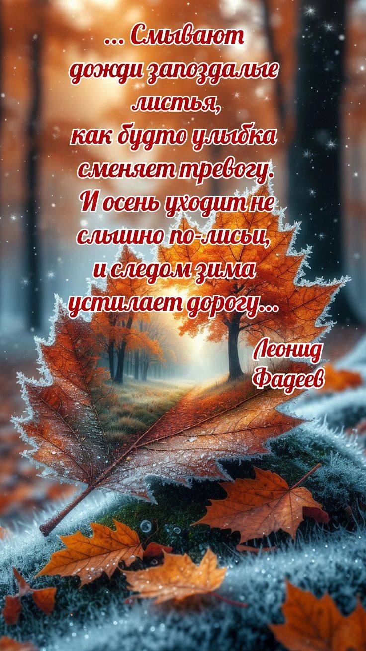 ... Смывают дождя запоздалые листья, как будто улыбка сменяет тревогу. И осень уходит не слышно по-ливы, и следом зима устилает дорогу... Леонид Фадеев