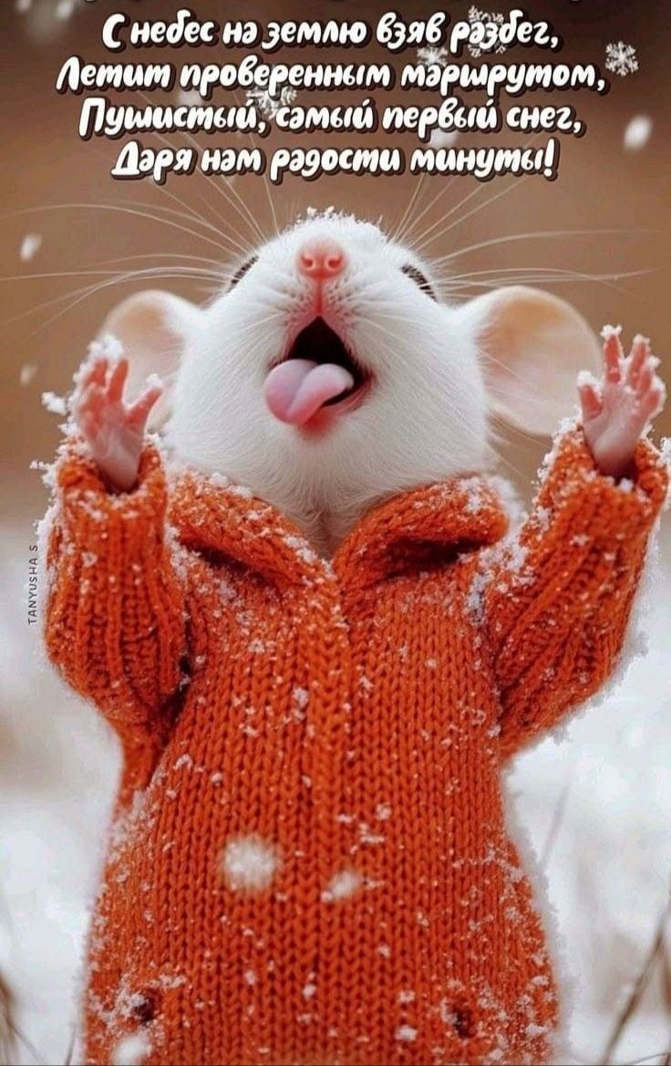 С небес на землю взяв разбег, летит проверенным маршрутом, пушистый, самый первый снег, даря нам радости минуты!