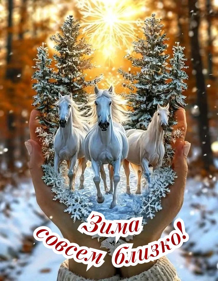 Зима совсем близко!