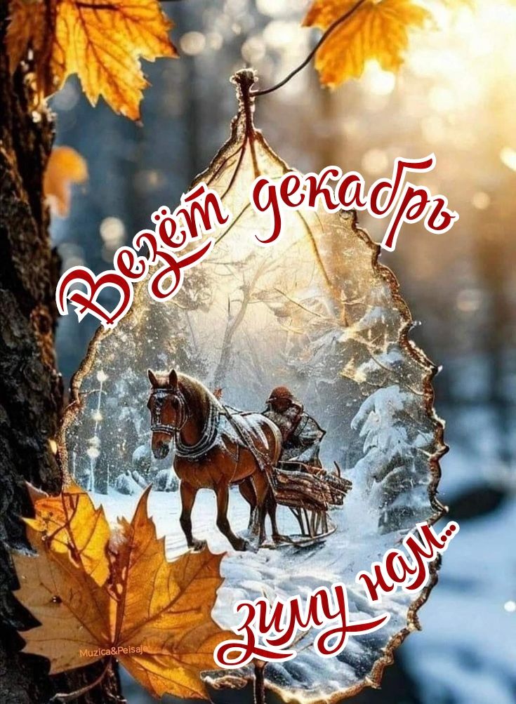 Везёт декабрь зиму зовёт...