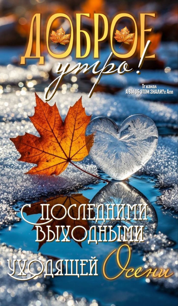 ДОБРОЕ утро! С ПОСЛЕДНИМИ ВЫХОДНЫМИ уходящей Осени