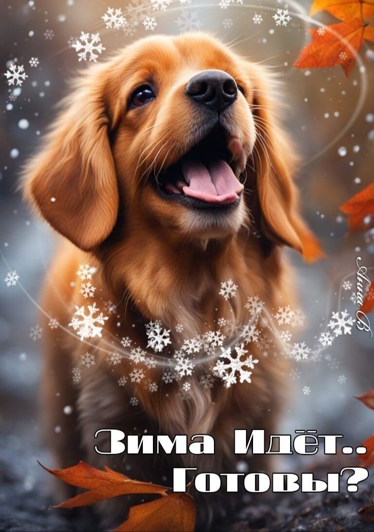 Зима идёт.. Готовы?