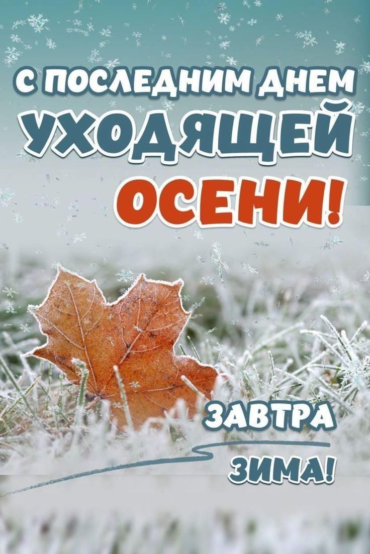 С ПОСЛЕДНИМ ДНЕМ УХОДЯЩЕЙ ОСЕНИ! ЗАВТРА ЗИМА!