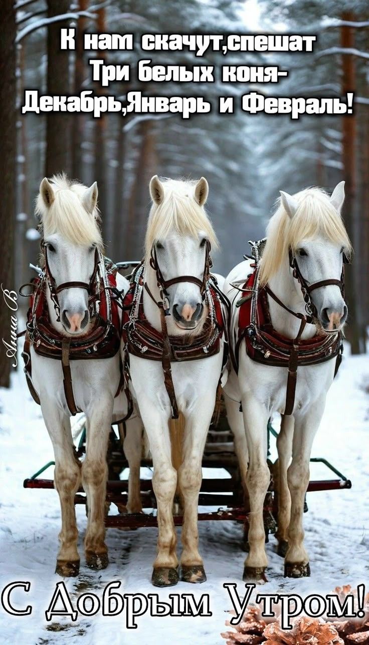 К нам скачут, спешат\nТри белых коня-\nДекабрь, Январь и Февраль!\nС Добрым Утром!