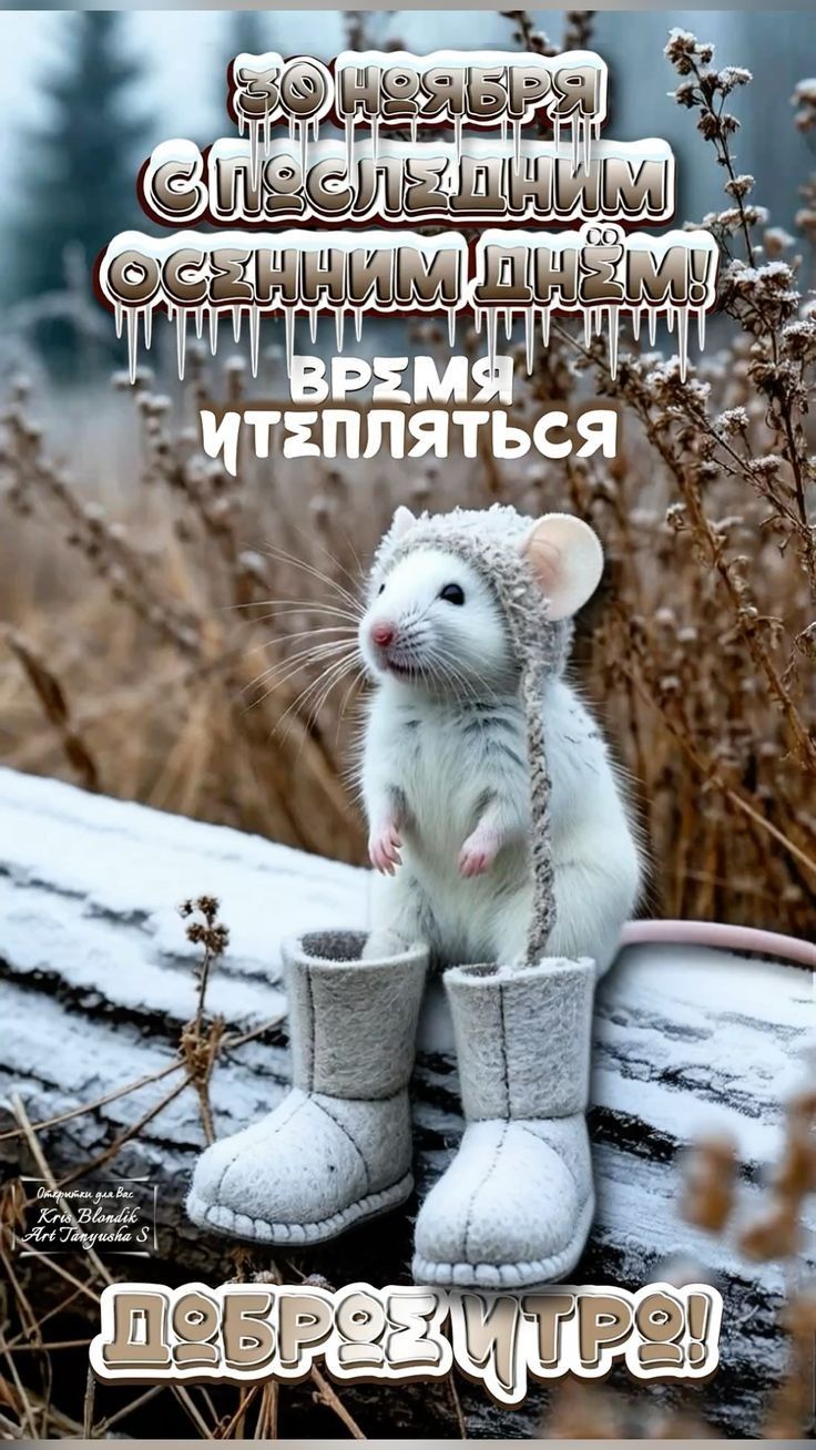 ЗНОЯБРЯ СПЕЦИДНИМ ОСЕННИМ ДНЕМ! ВРЕМЯ ТЕПЛЯТЬСЯ ДОБРЕ ЧТРА!