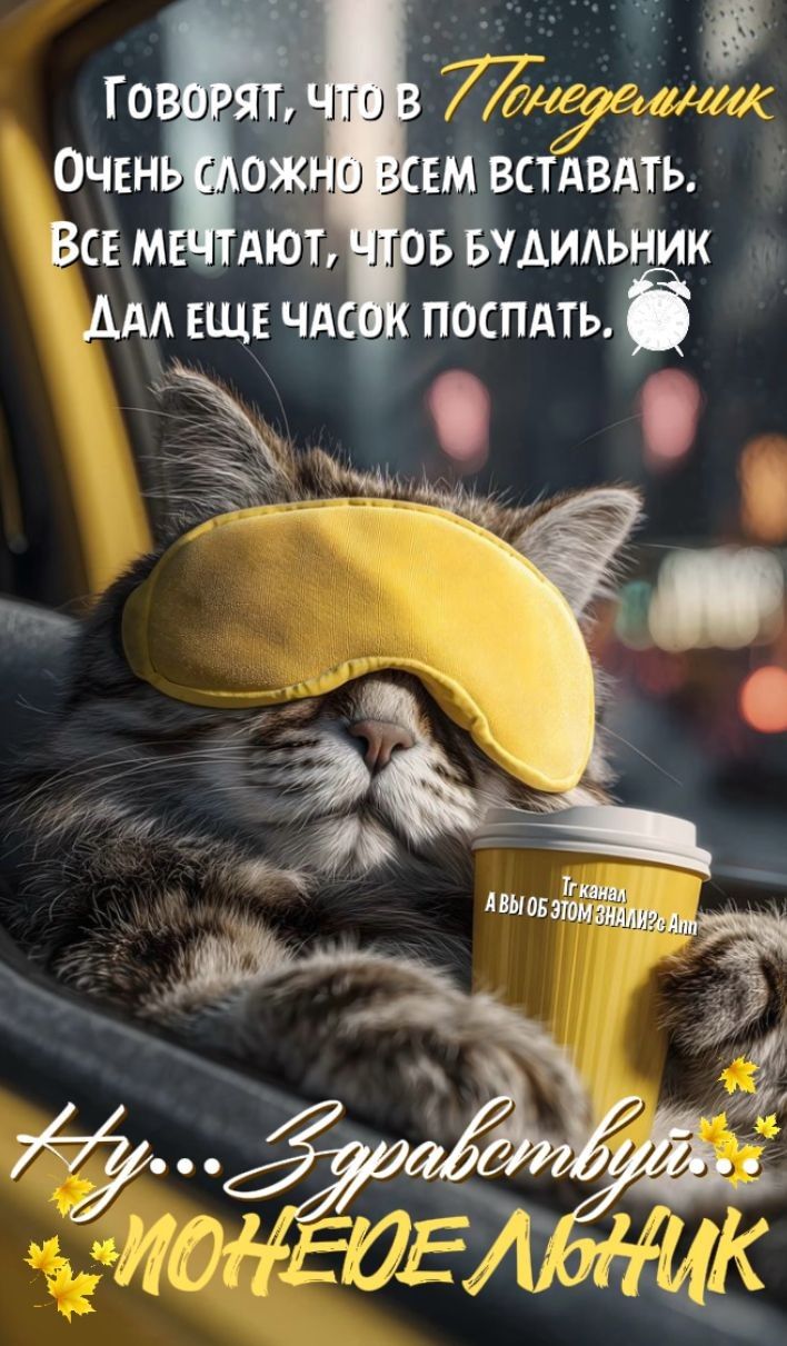 Говорят, что в понедельник очень сложно всем вставать. Все мечтают, чтобы будильник дал еще часок поспать. Ну… Здравствуй, понедельник