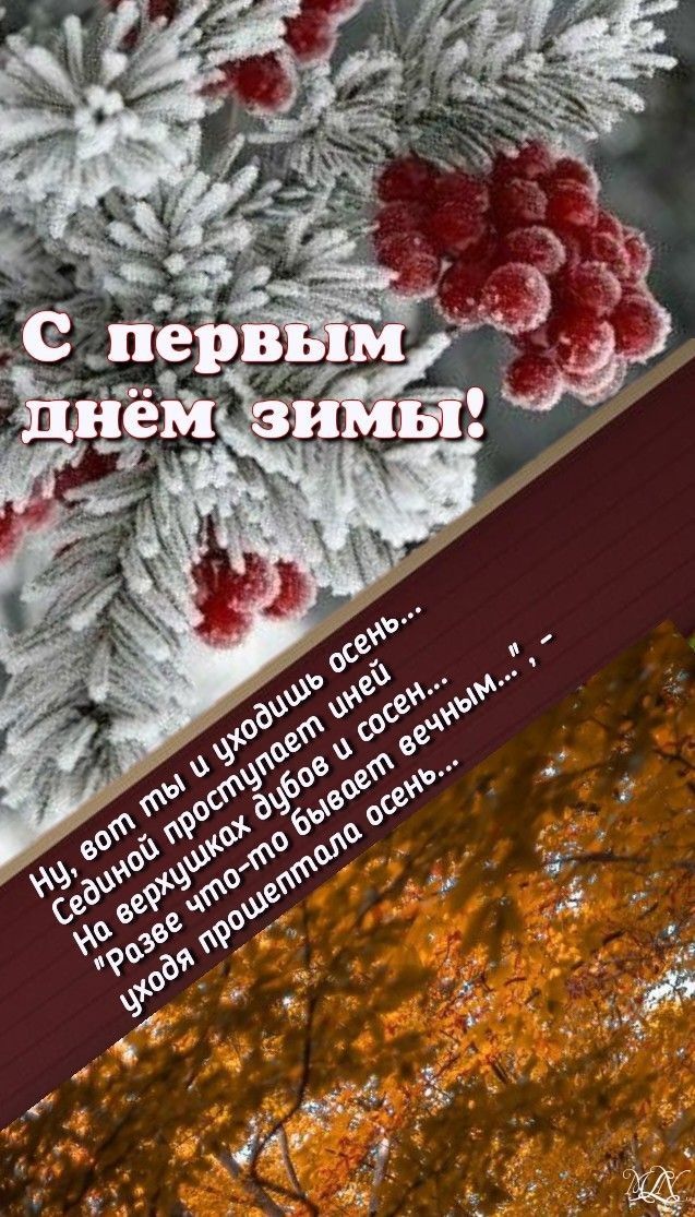 С первым днём зимы! Ну, вот ты уходишь осень... Седой проступает и ней? На верхних бутых и сосень... Разве что-то обьявет веЧным... уходя прошла осень...