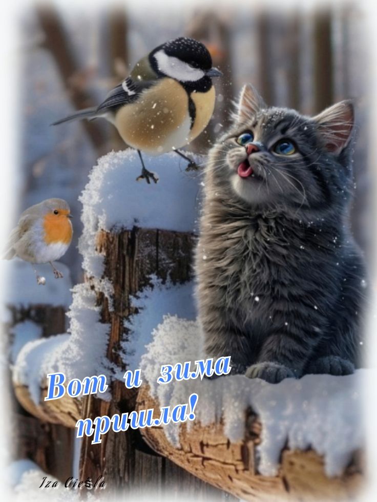 Вот и зима пришла!