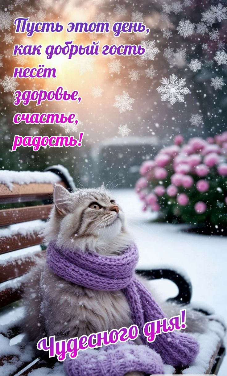 Пусть этот день, как добрый гость несёт здоровье, счастье, радость!\nЧудесного дня!