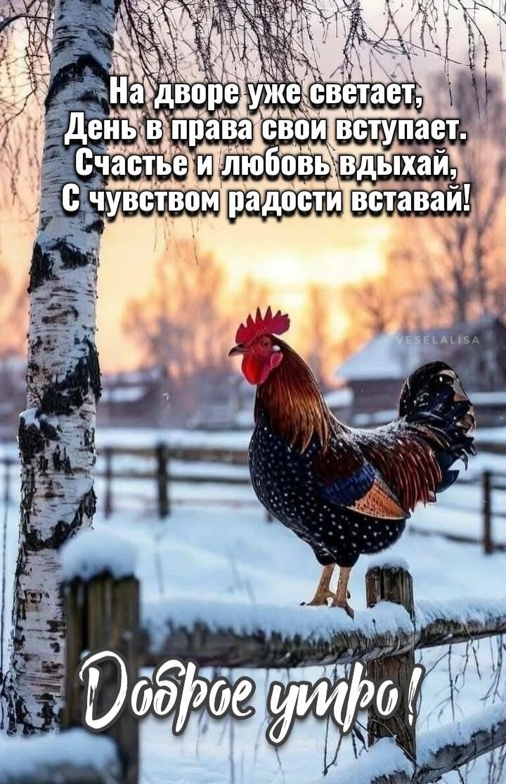 На дворе уже светает, День в права свои вступает. Счастье и любовь вдыхай, С чувством радости вставай! Доброе утро!
