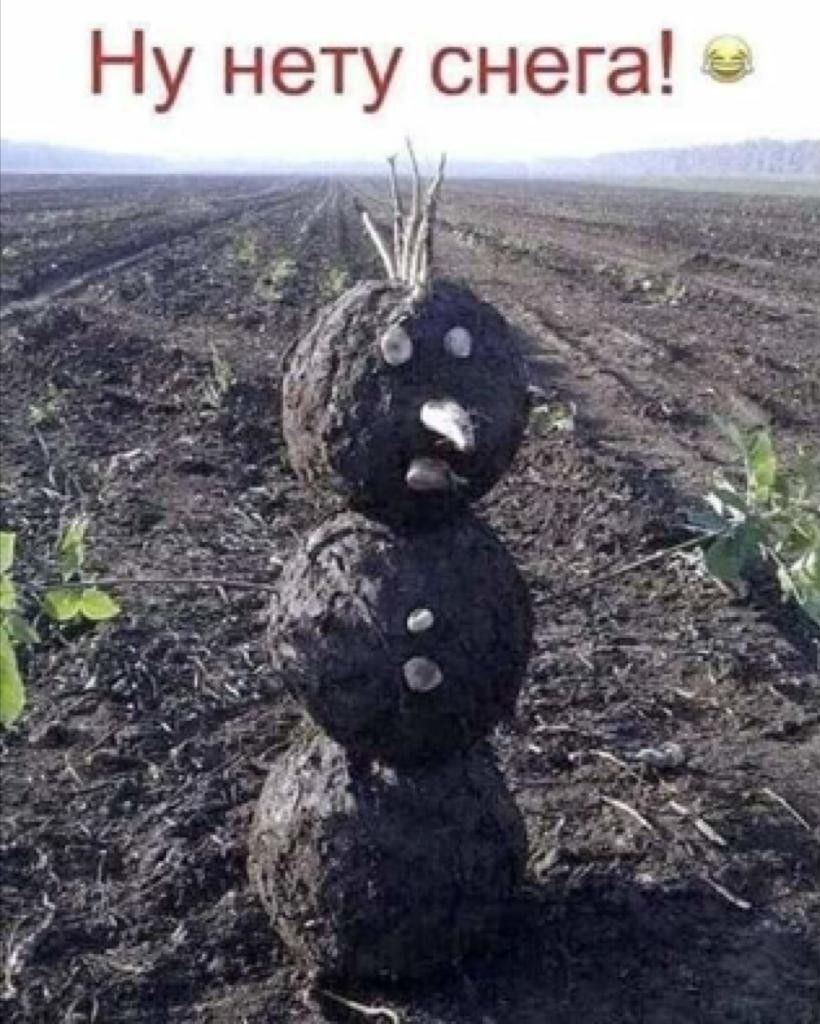 Ну нету снега! 😂