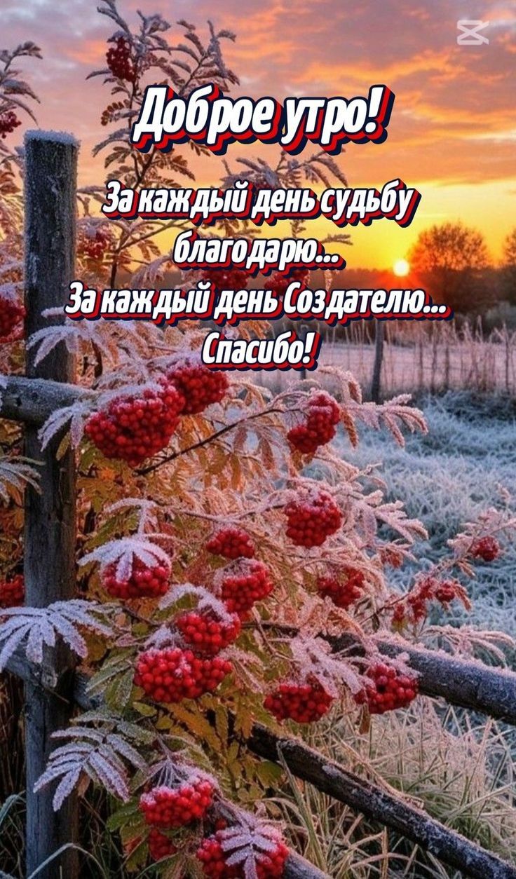 Доброе утро! За каждый день судьбу благодарю... За каждый день Создателю... Спасибо!