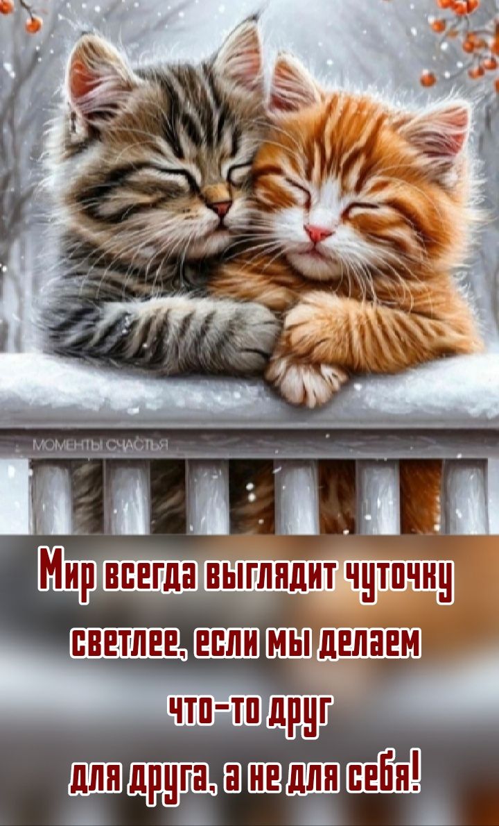 Моменты счастья
Мир всегда выглядит чуточку светлее, если мы делаем что-то друг для другого, а не для себя!