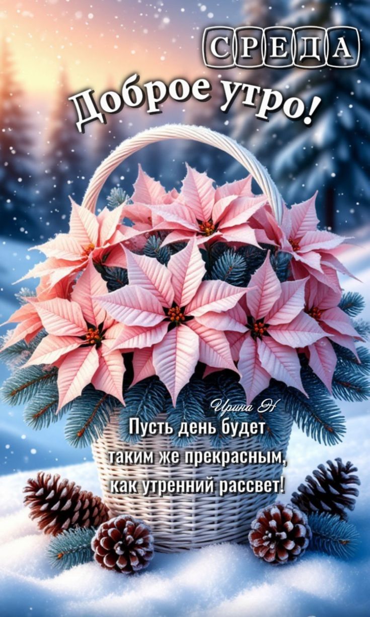СРЕДА
Доброе утро!
Пусть день будет таким же прекрасным, как утренний рассвет! Ирина Н