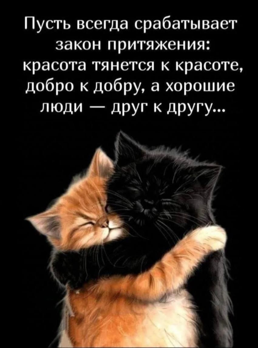 Пусть всегда срабатывает закон притяжения: красота тянется к красоте, добро к добру, а хорошие люди — друг к другу...