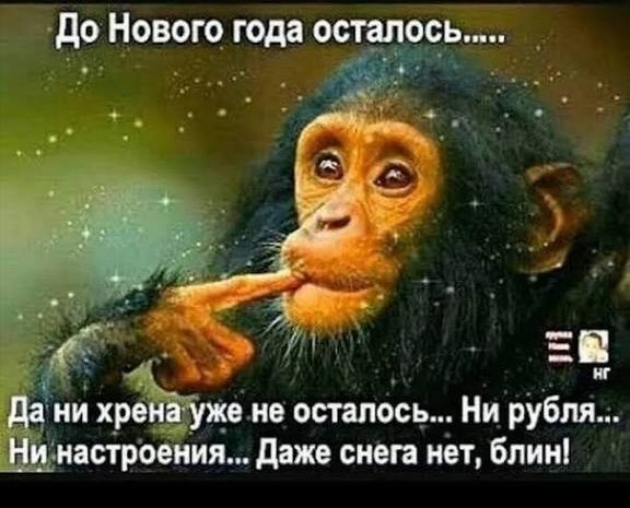 До Нового года осталось..... Да ни хрена уже не осталось... Ни рубля... Ни настроения... Даже снега нет, блин!