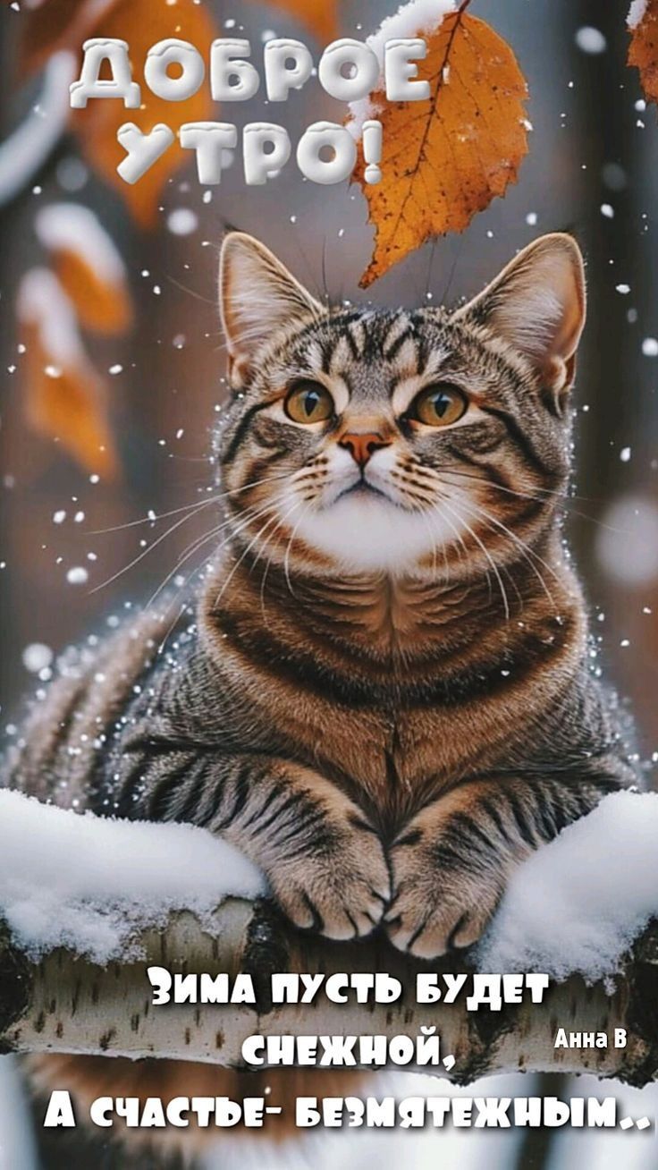 Доброе утро! Зима пусть будет снежной, а счастье — безмятежным. Анна В