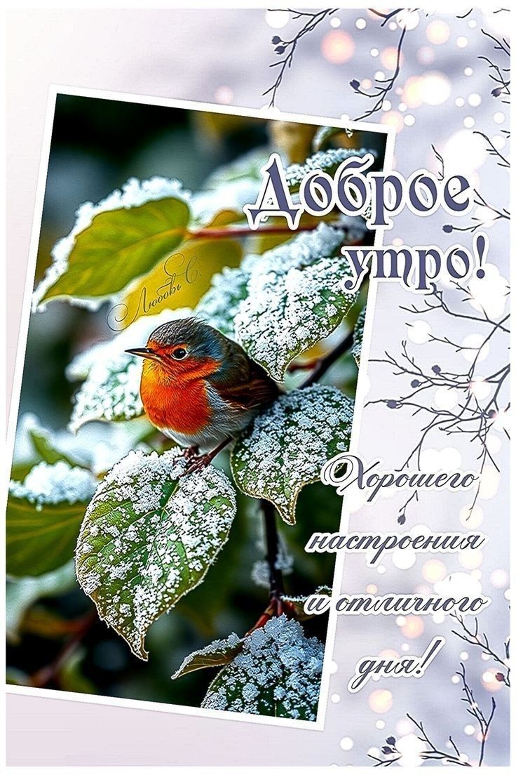 Доброе утро! Хорошего настроения и отличного дня!