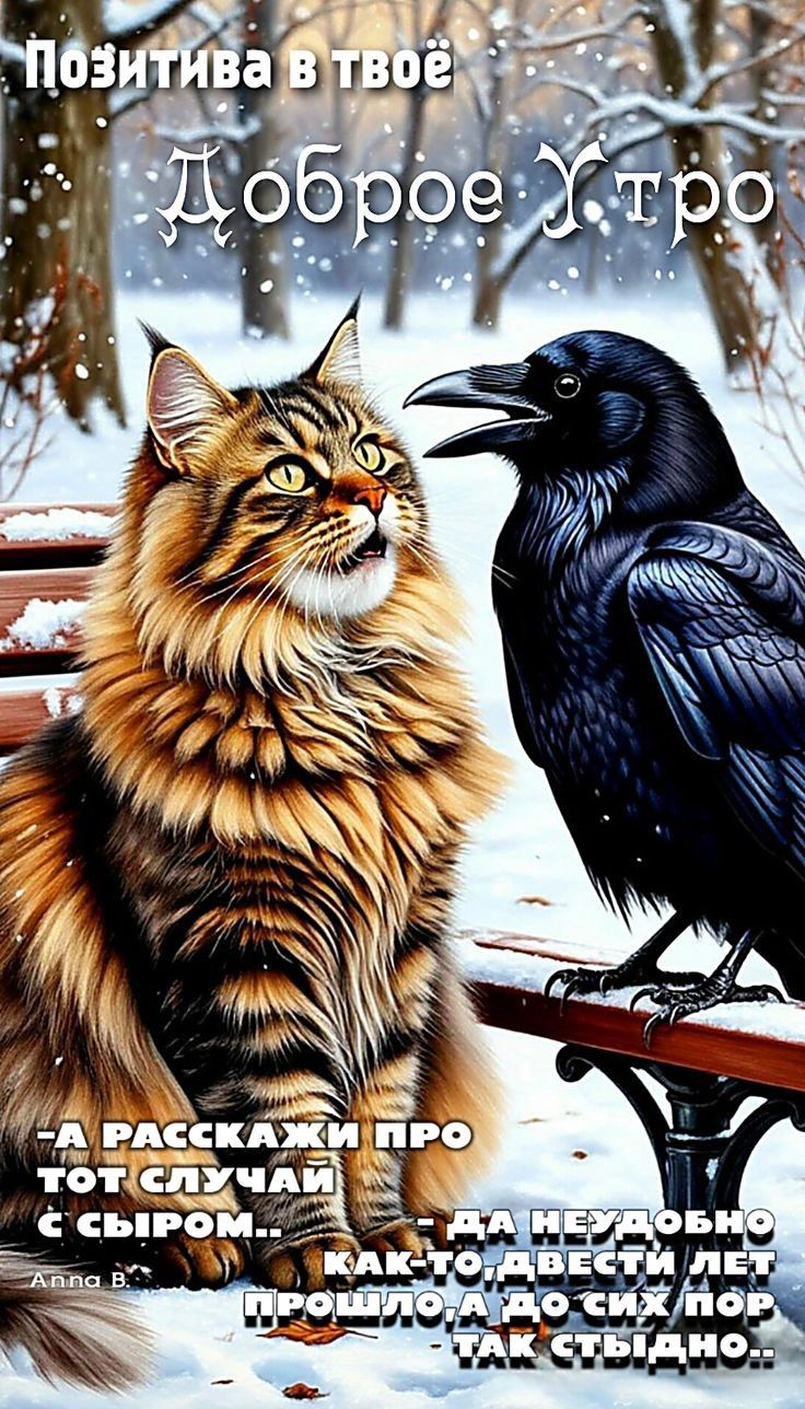 Позитива в твоё Доброе Утро А расскажи про тот случай с сыром... да неудачно, как-то... лет прошло, а до сих пор так стыдно..