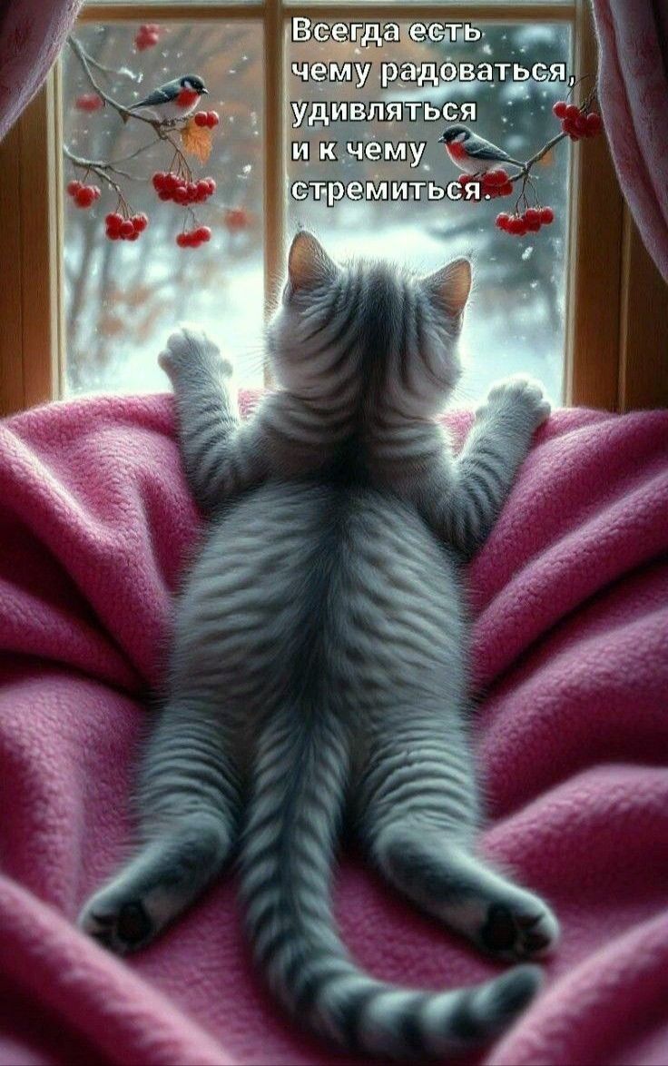 Всегда есть чему радоваться, удивляться и к чему стремиться.