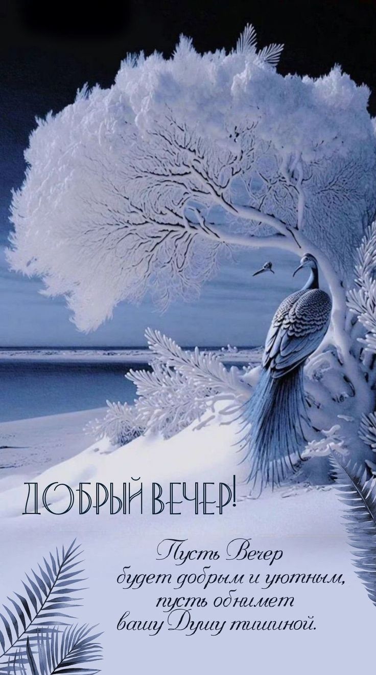 Добрый вечер! Пусть вечер будет добрым и уютным, пусть обнимет вашу Душу тишиной.