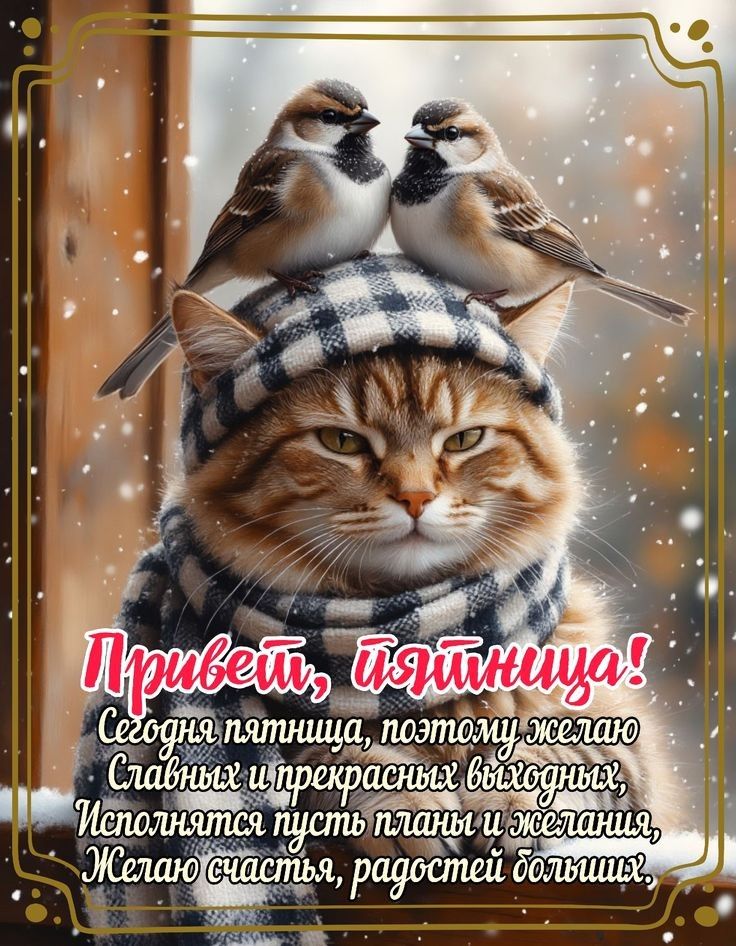 Привет, красавица!\nСегодня пятница, поэтому желаю славных и прекрасных выходных, Исполняются пусть планы и желания. Желаю счастья, радостей больших.