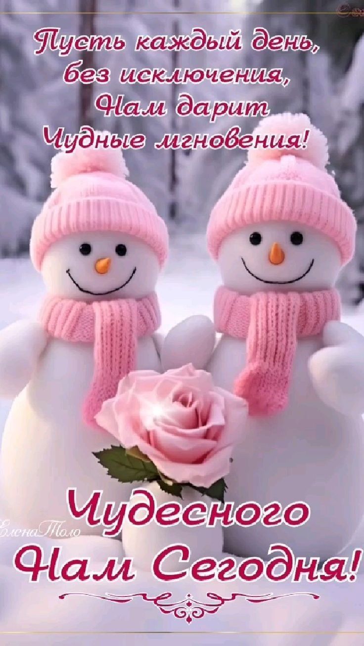 Пусть каждый день, без исключения, Нам дарит чудные мгновения! Чудесного вам сегодня!