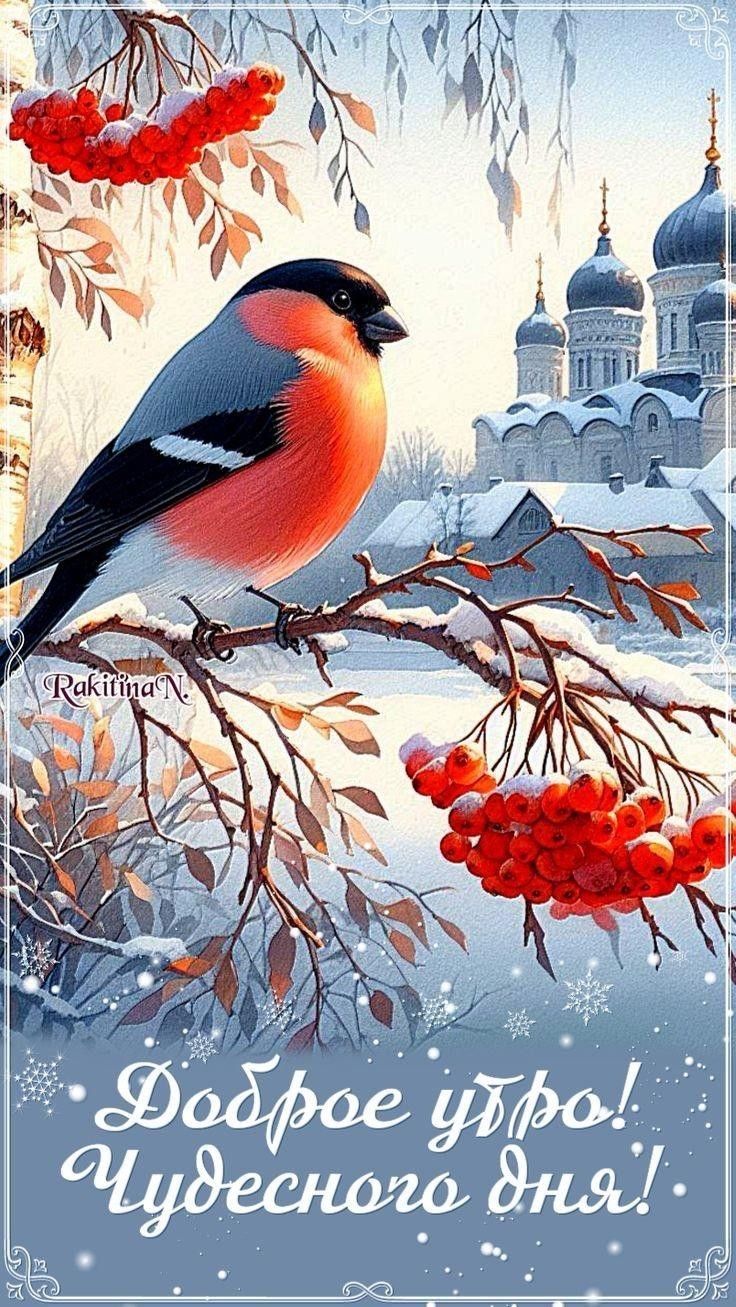 Доброе утро! Чудесного дня!