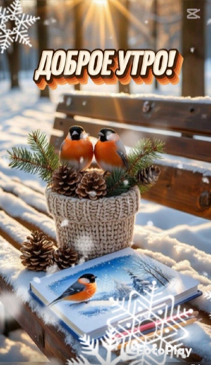 Доброе утро!