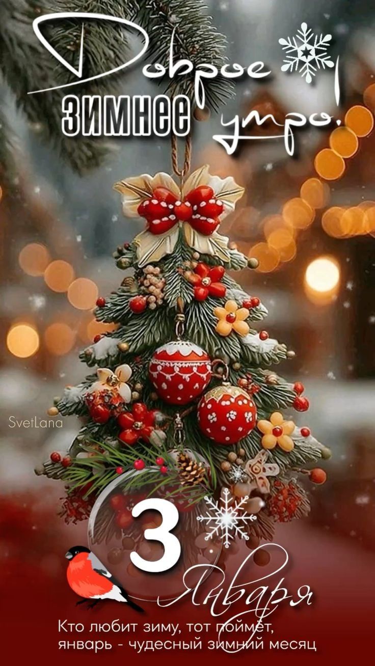 Доброе зимнее утро. 3 января. Кто любит зиму, тот поймет, январь - чудесный зимний месяц.