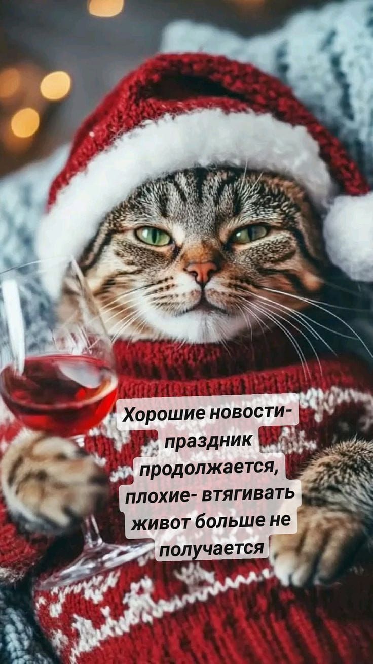 Хорошие новости- праздник продолжается, плохие- втягивать живот больше не получается