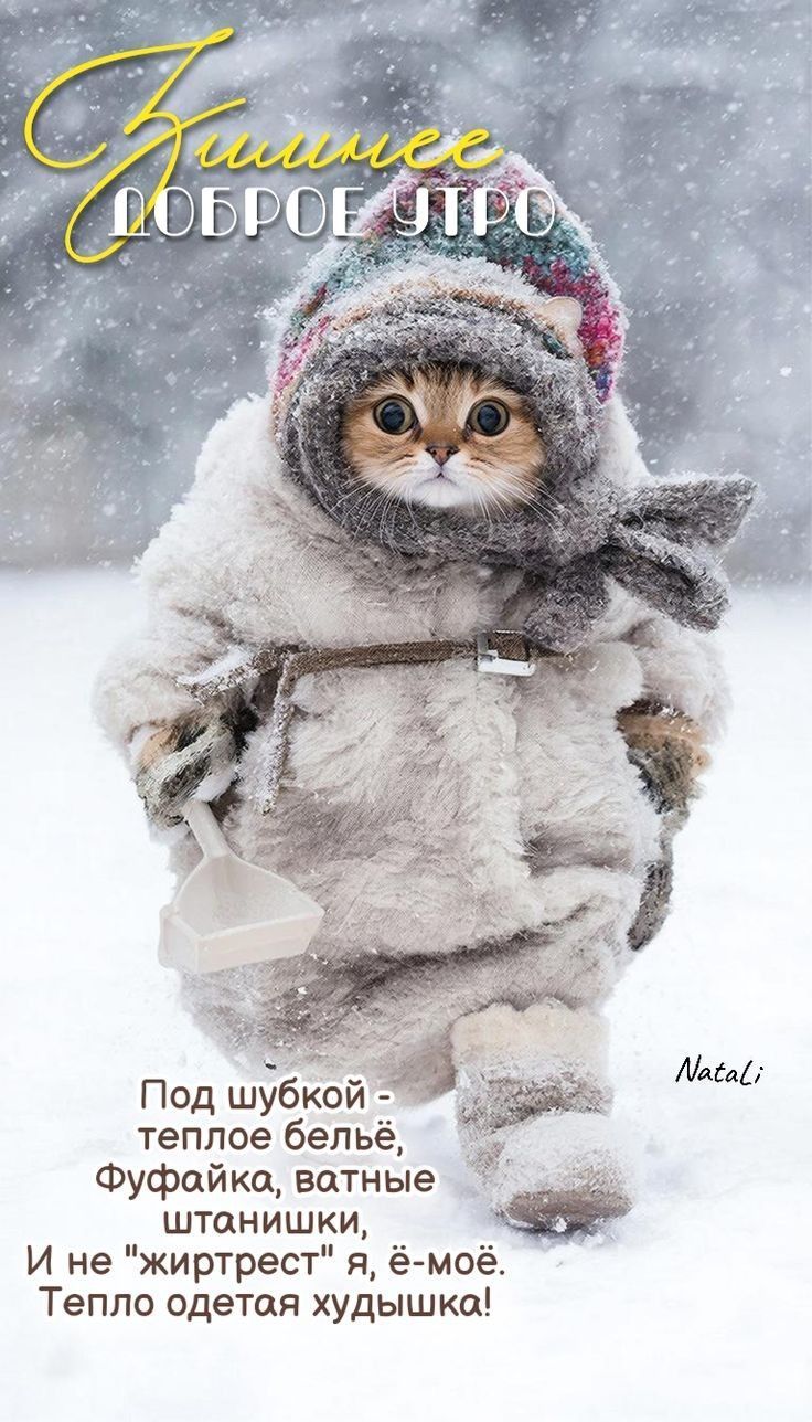 Хитрое доброе утро
Под шубкой - теплое бельё, Фуфайка, ватные штаны, И не «жирретс» я, ё-мой. Тепло одета худышка!