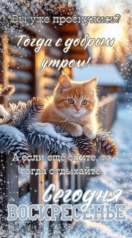 Вы уже проснулись? Тогда с добрым утром! А если ещё скажете, то тогда отдыхайте. Сегодня ВОСКРЕСЕНЬЕ