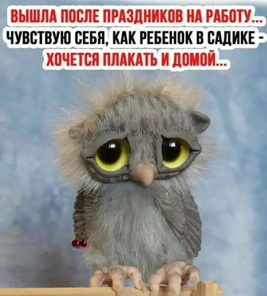 Вышла после праздников на работу... Чувствую себя, как ребёнок в садике — хочется плакать и домой...