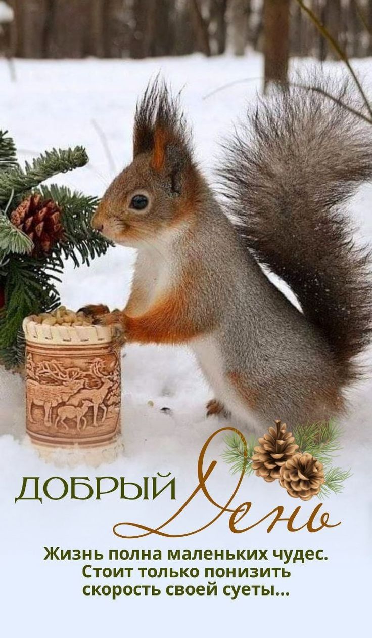 Добрый день. Жизнь полна маленьких чудес. Стоит только понизить скорость своей суеты...