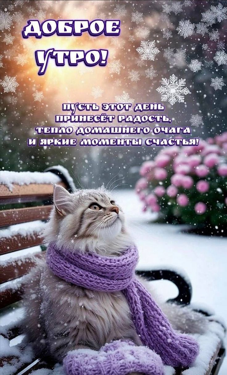 ДОБРОЕ УТРО! пусть этот день принесёт радость, тепло домашнего очага и яркие моменты счастья!