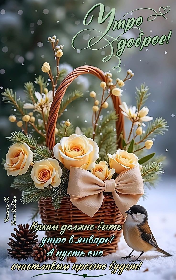 Утро доброе! Каким должно быть утро в январе? А пусть оно просто будет счастливым!