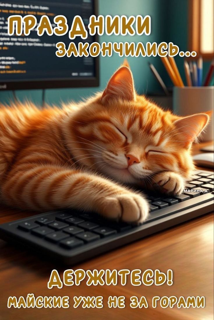 ПРАЗДНИки ЗАКОНЧИЛИСЬ... ДЕРЖИТЕСЬ! МАЙСКИЕ УЖЕ НЕ ЗА ГОРАМИ