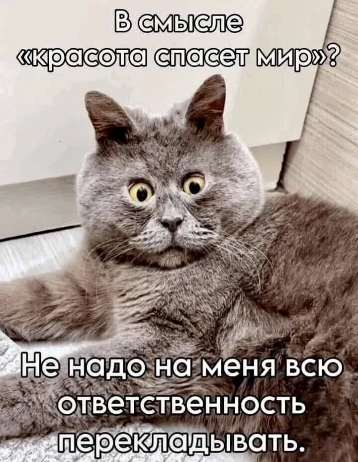В смысле «красота спасет мир»? Не надо на меня всю ответственность перекладывать.
